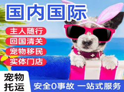 烟台航空快运国际宠物托运 【国